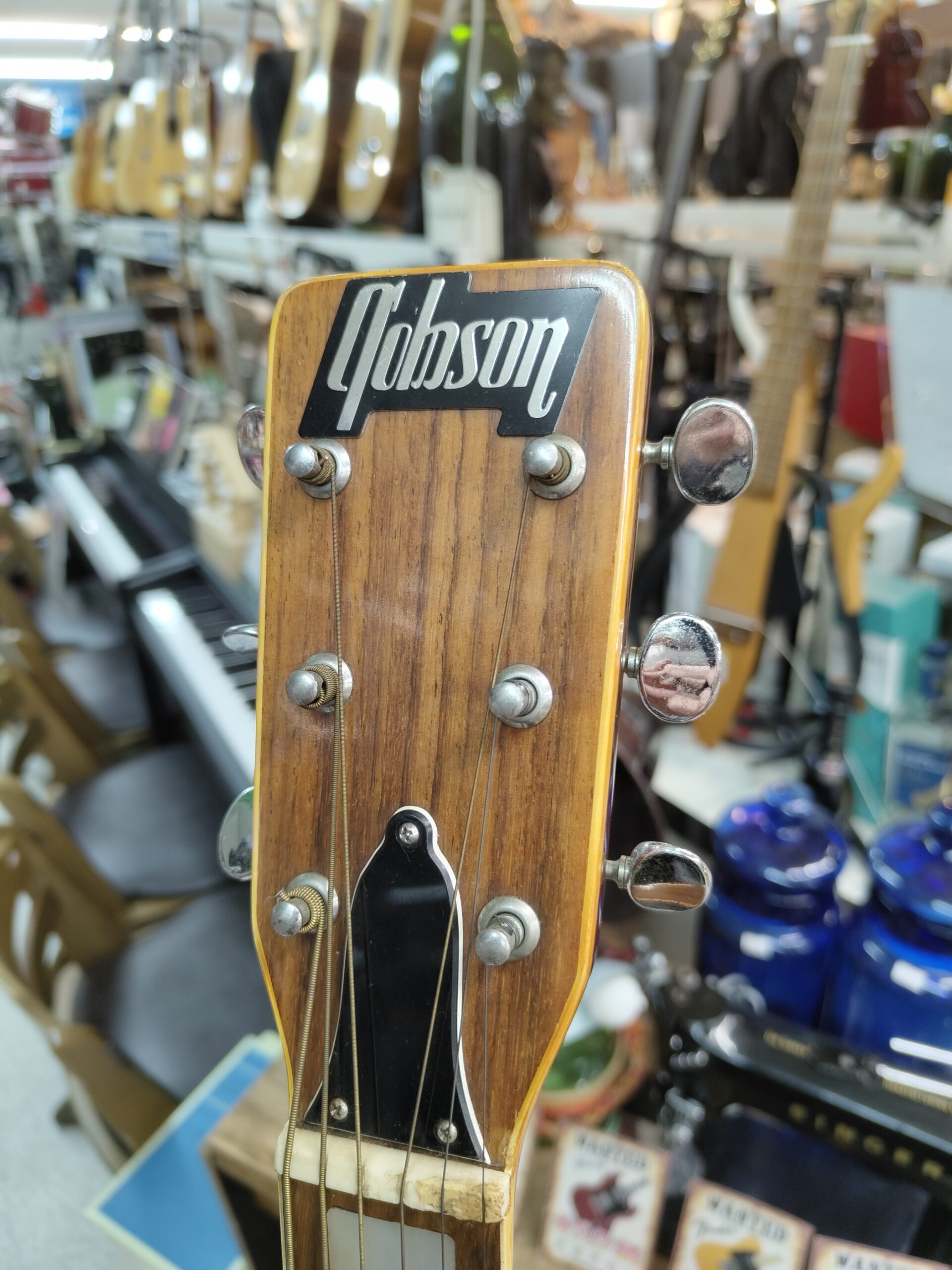 トムソン D-38 すがの木工製作所 Yahoo!オークション - TOMSON トムソン ギター D-38 すがの木工